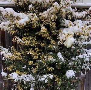 Meet your Posher, Manjunath